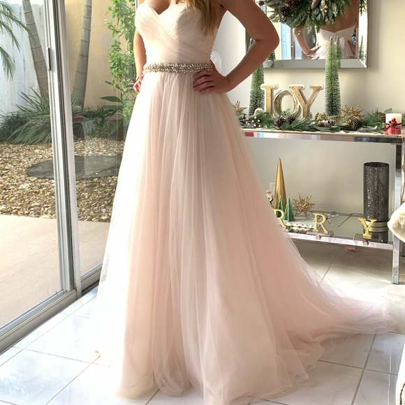 Strapless blush pink gown from David’s bridal. Worn once - Picture 1 of 12